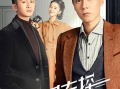 电视剧 推荐,一部融合历史与现代情感的电视剧
