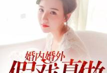 婚内婚外那些事 电视剧,情感漩涡中的爱恨纠葛