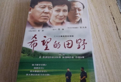 电视剧希望的田野全集,农村改革风云录
