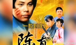中国经典电视剧,经典电视剧中的时代印记与情感共鸣