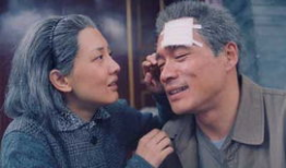 野百合也有春天电视剧,青春绽放的励志传奇