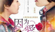 因为爱你电视剧,跨越时空的深情守候